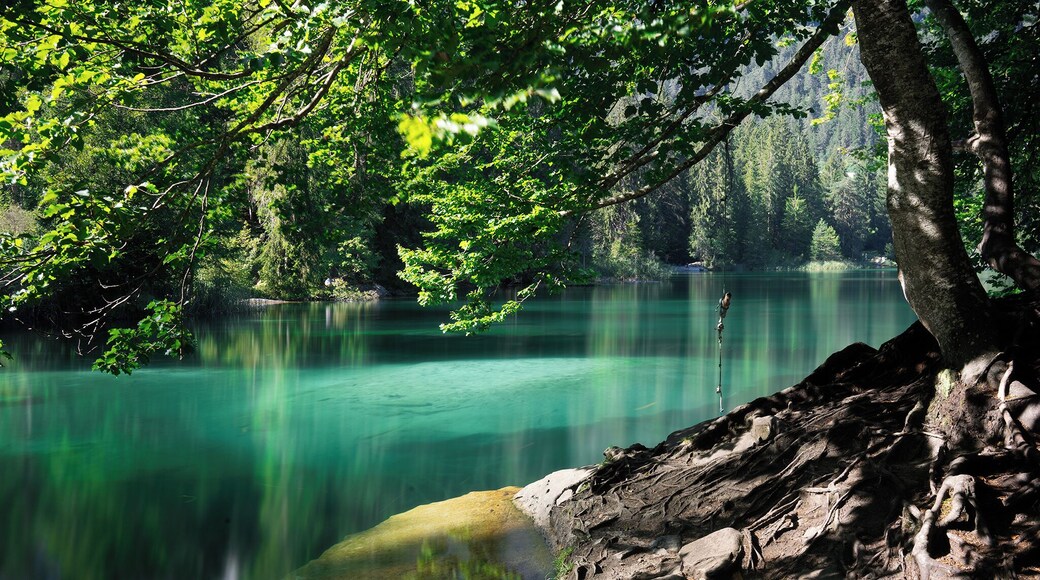 Another point of view of Crestasee. With plenty of photo spots on offer around the lake, it's very easy to while away 3 to 4 hours without that we realize it.