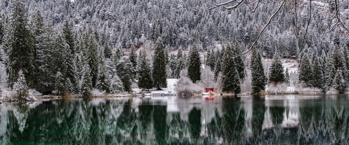Just a tiny red house near by a lake. 
#red