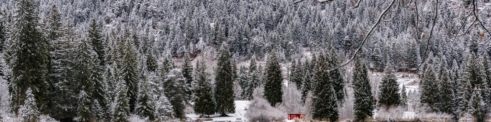 Just a tiny red house near by a lake.
#red