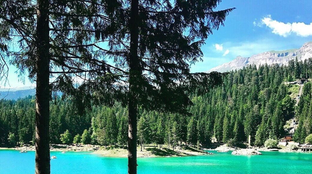 A beautiful paradies in Flims 🇨🇭