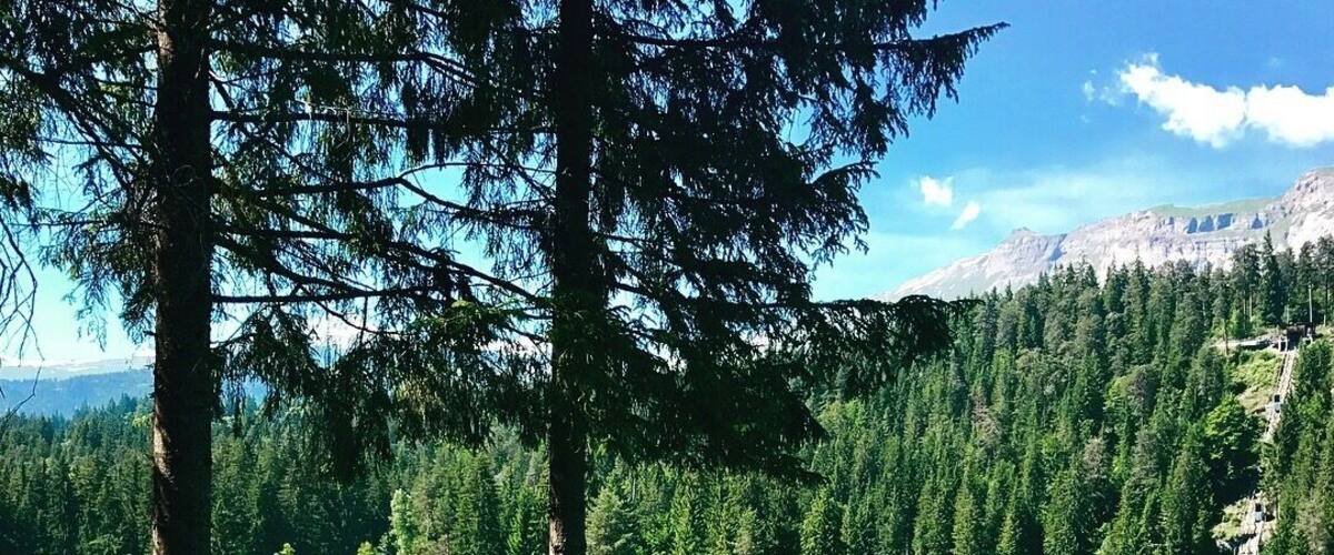 A beautiful paradies in Flims 🇨🇭