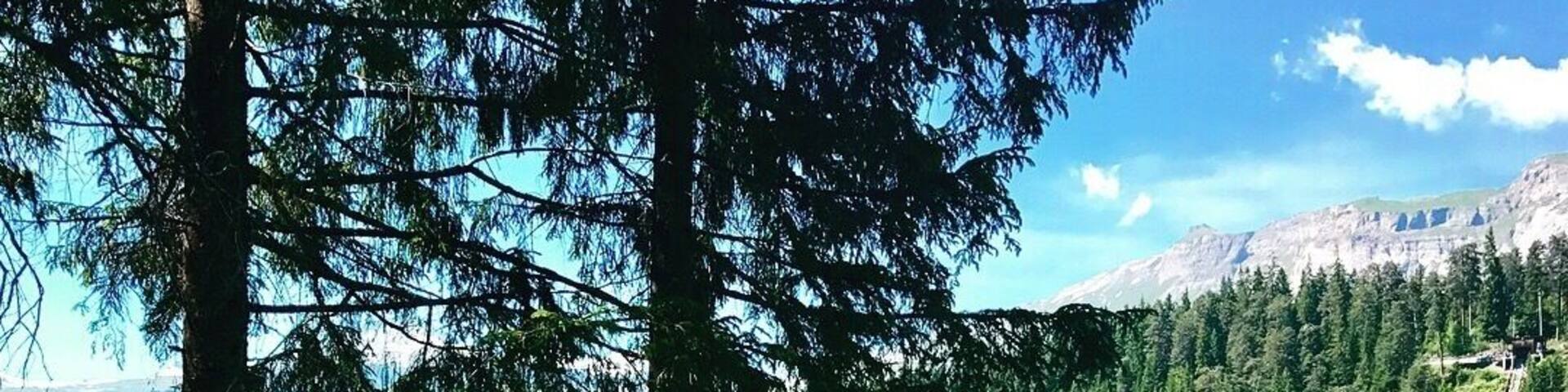 A beautiful paradies in Flims 🇨🇭