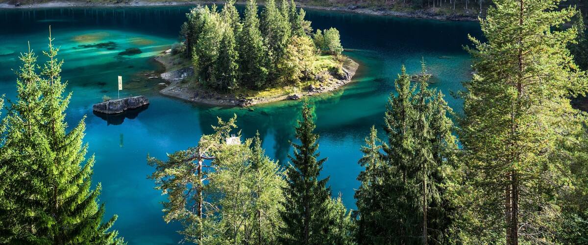 Flims showing a lake or waterhole, forests and tropical scenes