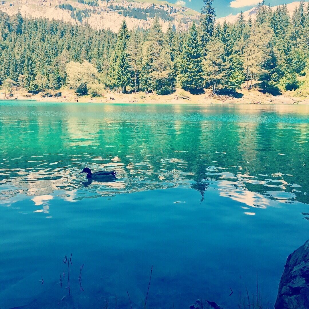 A beautiful paradies in Flims 🇨🇭