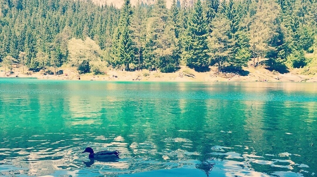 A beautiful paradies in Flims 🇨🇭