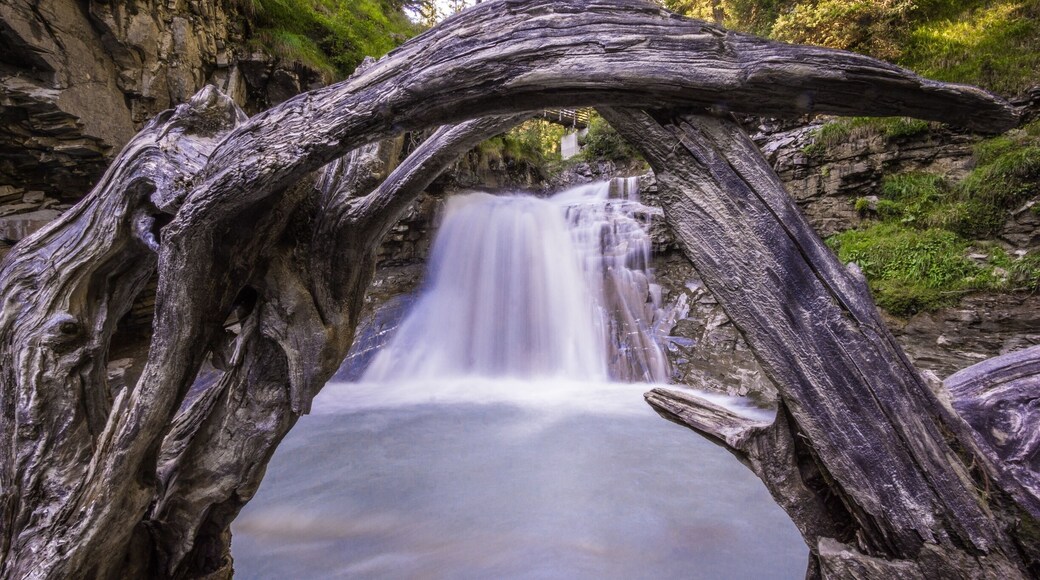 Ein Wasserfall gerahmt von einem Baumstamm.
#AquaTrove