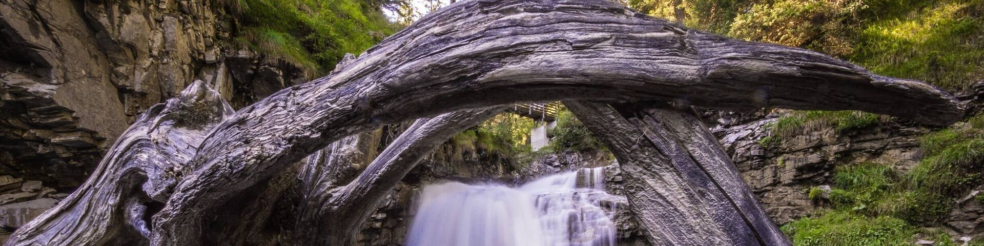 Ein Wasserfall gerahmt von einem Baumstamm.
#AquaTrove