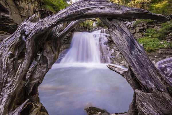 Ein Wasserfall gerahmt von einem Baumstamm.
#AquaTrove