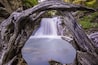 A waterfall framed by a large, gnarled tree.