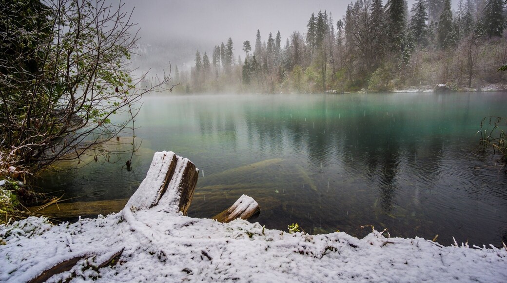 I went hiking and found a very nice Lake near Trin. Crestasee.
#TakeAHike
#aquatrove