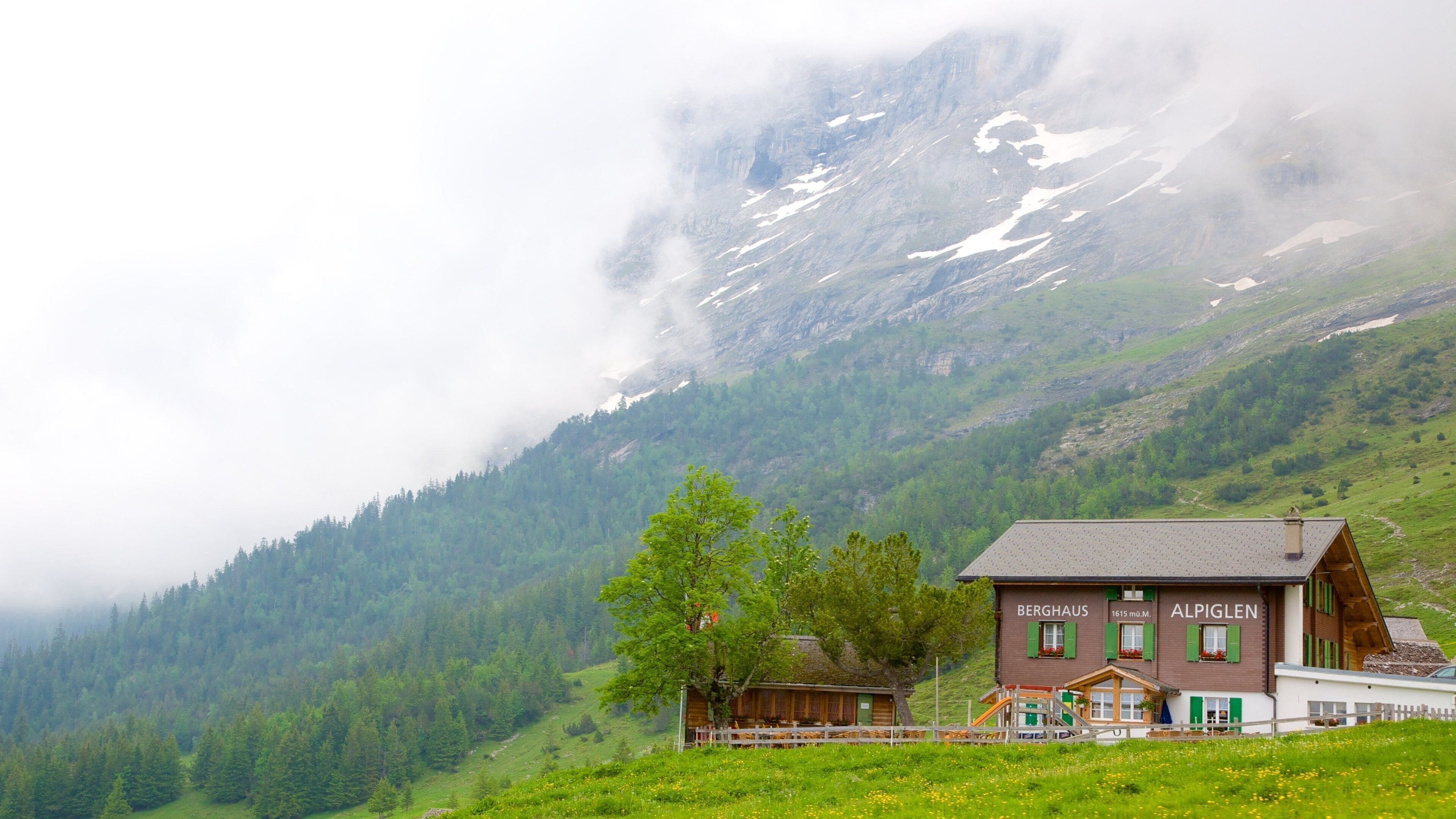Grindelwald which includes farmland, mist or fog and a house