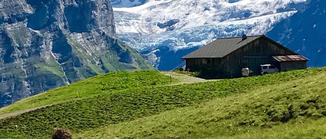 The lone hiker