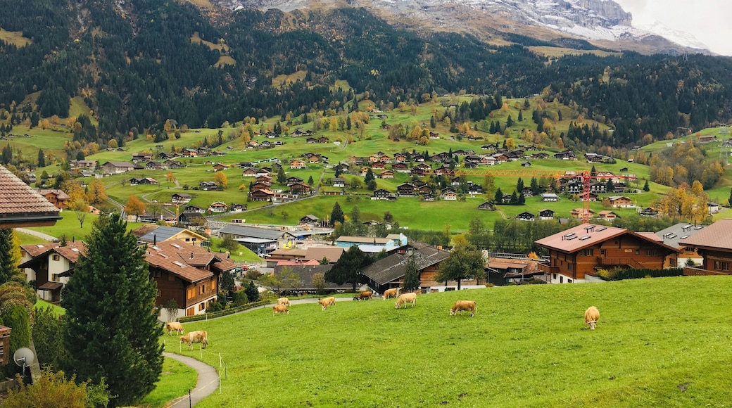 Grindelwald, Interlaken, Switzerland