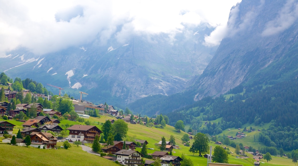Grindelwald welches beinhaltet Kleinstadt oder Dorf, Farmland und Landschaften