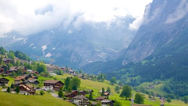 Grindelwald inclusief akkerland, een klein stadje of dorpje en landschappen