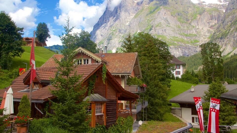A mountain village with traditional wooden houses, lush greenery, and a prominent mountain in the background.