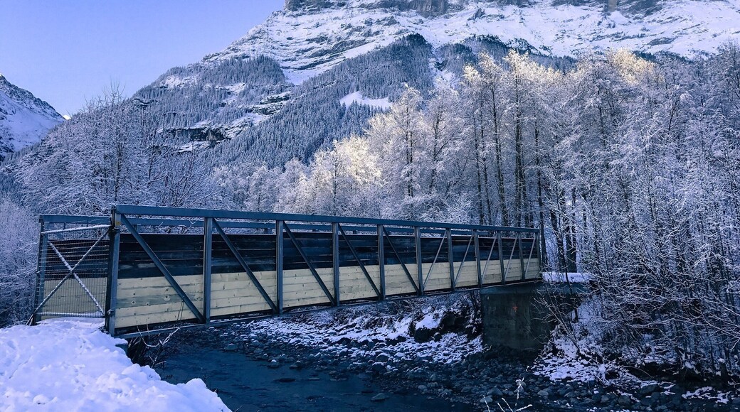 Little bridge just near the train station in Grindelwald. #grindelwald #switzerland