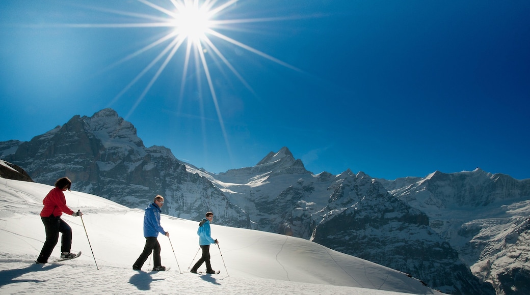 Grindelwald featuring snow and snow shoeing as well as a small group of people