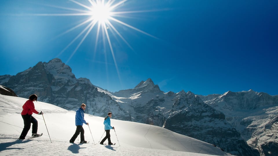 Skiers on a snow-covered slope with a clear blue sky and a bright sun.
