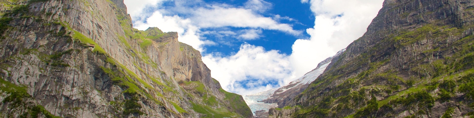 Grindelwald featuring mountains
