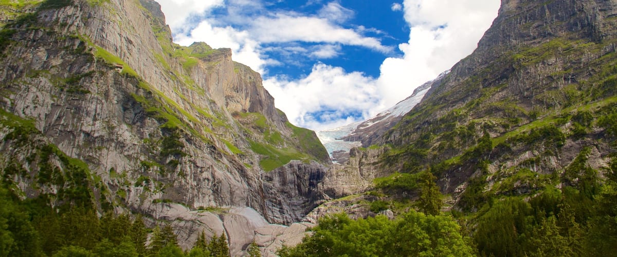 Grindelwald showing mountains