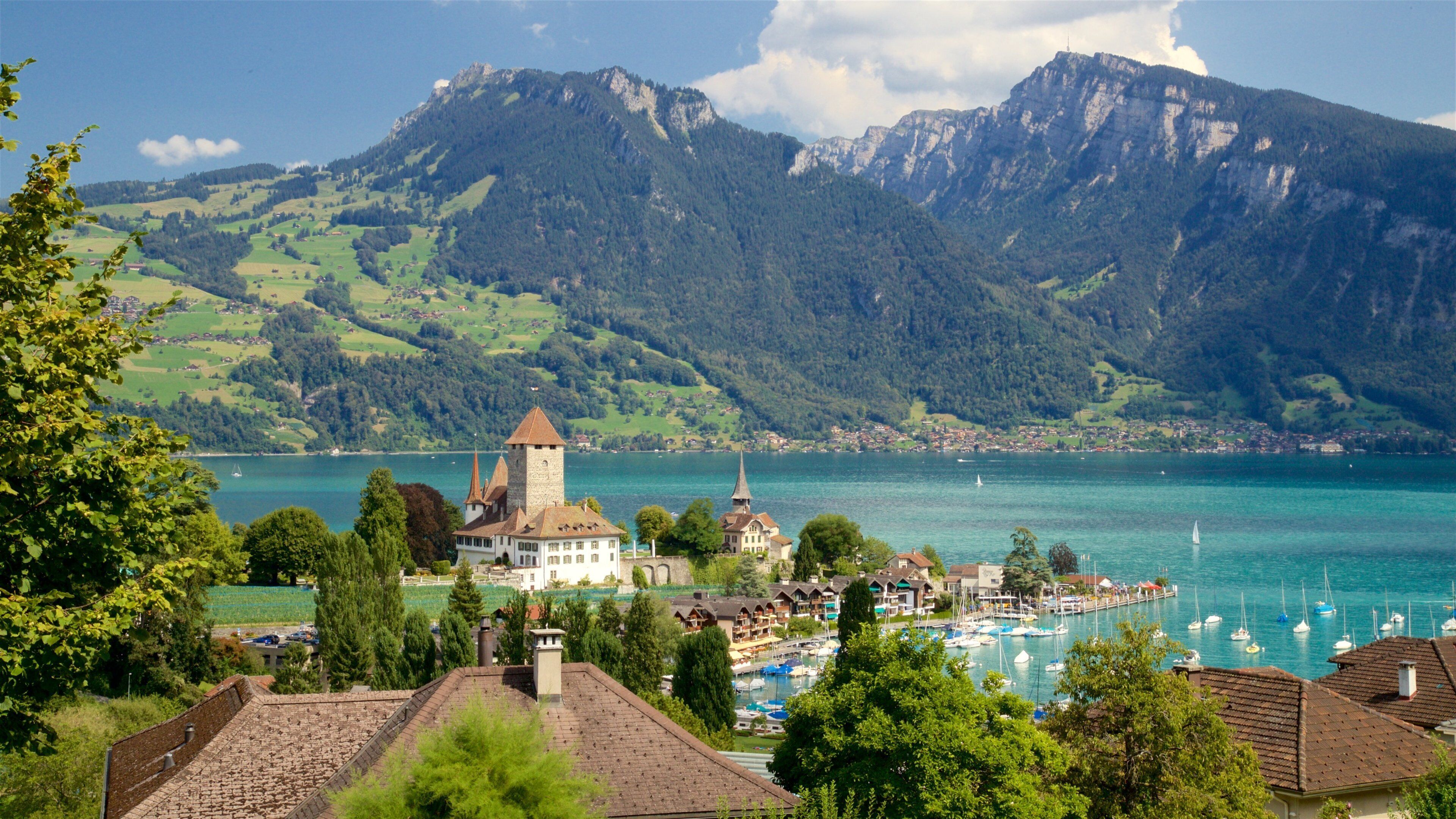 A lake surrounded by mountains, a castle, and a marina with boats.