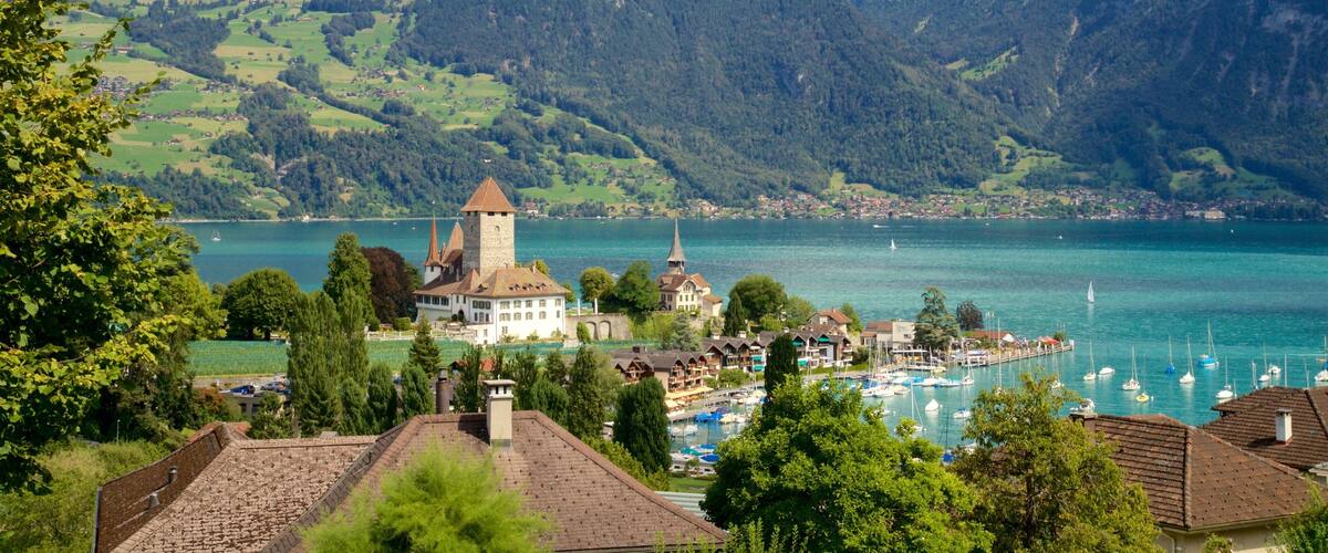 A lake surrounded by mountains, a castle, and a marina with boats.