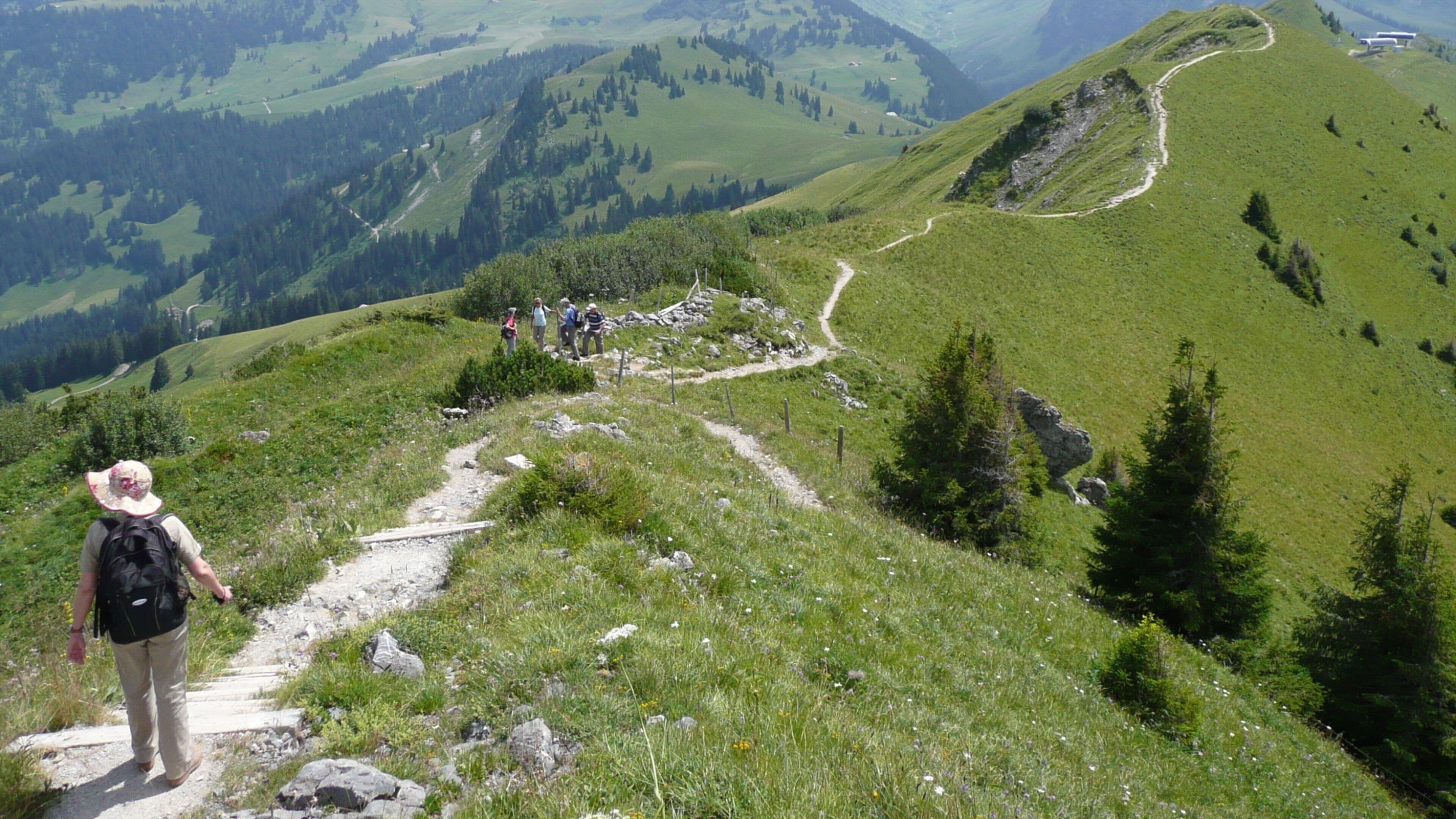 Gstaad showing tranquil scenes and hiking or walking