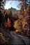 Path leading to the Gastlosen mountain in autumn