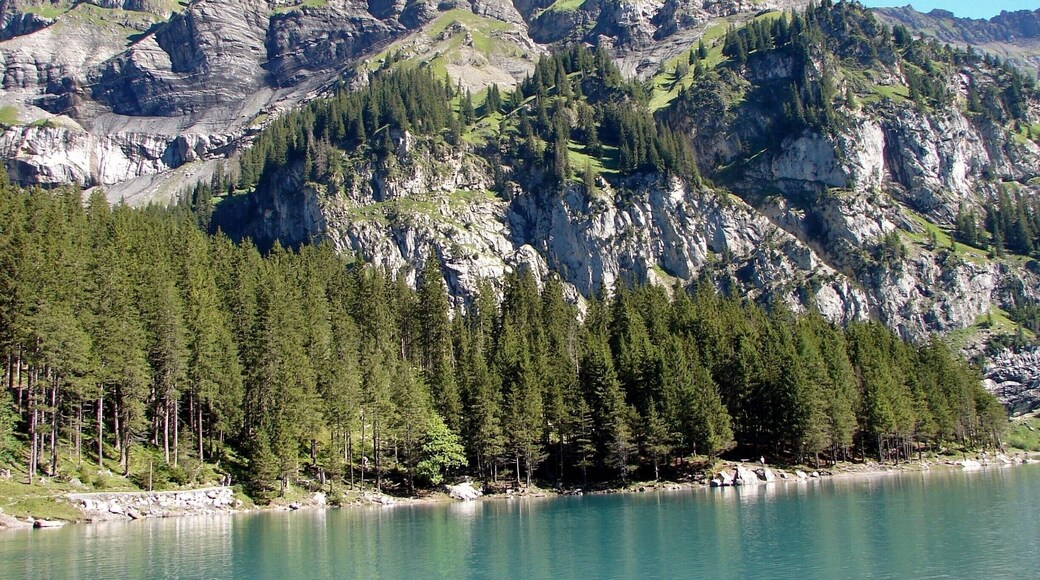 Oeschinen Lake (German: Oeschinensee) is a lake in the Bernese Oberland, Switzerland, 4 kilometres (2.5 mi) east of Kandersteg in the Oeschinen valley. At an elevation of 1,578 metres (5,177 ft), it has a surface area of 1.1147 square kilometres (0.4304 sq mi). Its maximum depth is 56 metres (184 ft).