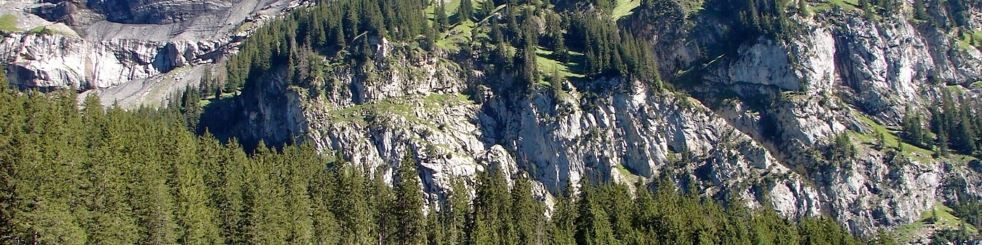 Oeschinen Lake (German: Oeschinensee) is a lake in the Bernese Oberland, Switzerland, 4 kilometres (2.5 mi) east of Kandersteg in the Oeschinen valley. At an elevation of 1,578 metres (5,177 ft), it has a surface area of 1.1147 square kilometres (0.4304 sq mi). Its maximum depth is 56 metres (184 ft).