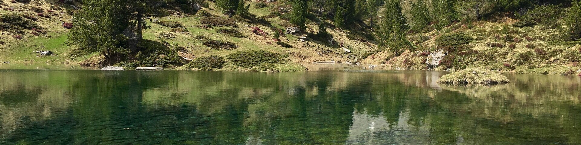 Un lago de montaña cristalino rodeado de árboles y terreno rocoso.