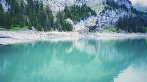 Oeschinen Lake is a lake in Bernese Oberland the Bernese Oberland, Switzerland, 4 kilometres east of Kandersteg in the Oeschinen valley. At an elevation of 1,578 metres, it has a surface area of 1.1147 square kilometres.