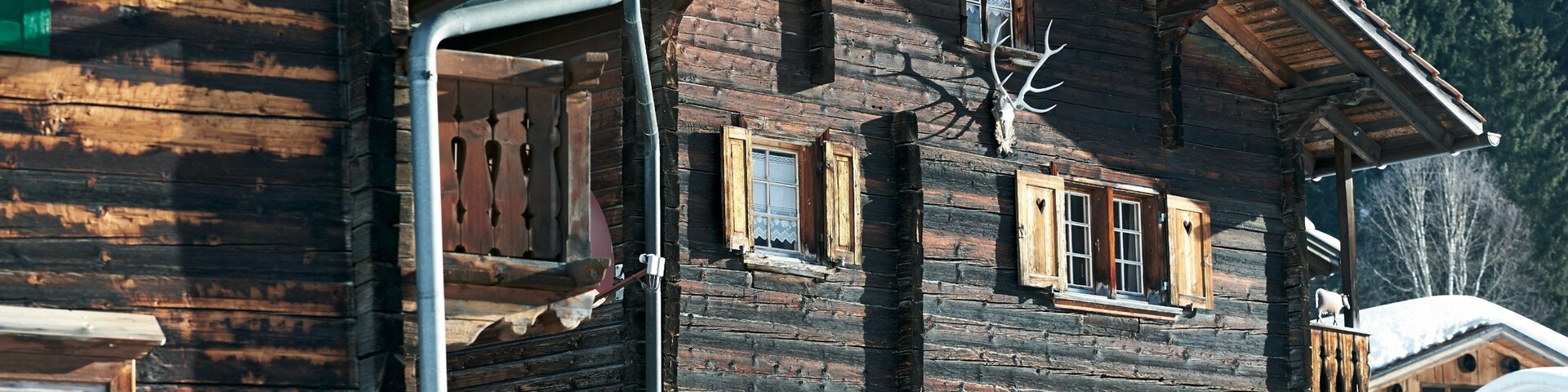 A rustic wooden house with multiple windows and a deer head mounted on the wall.