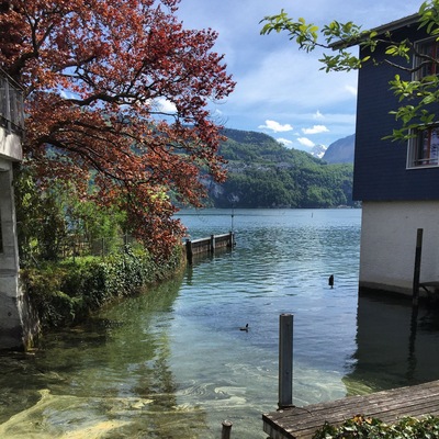 Wonderful scenary