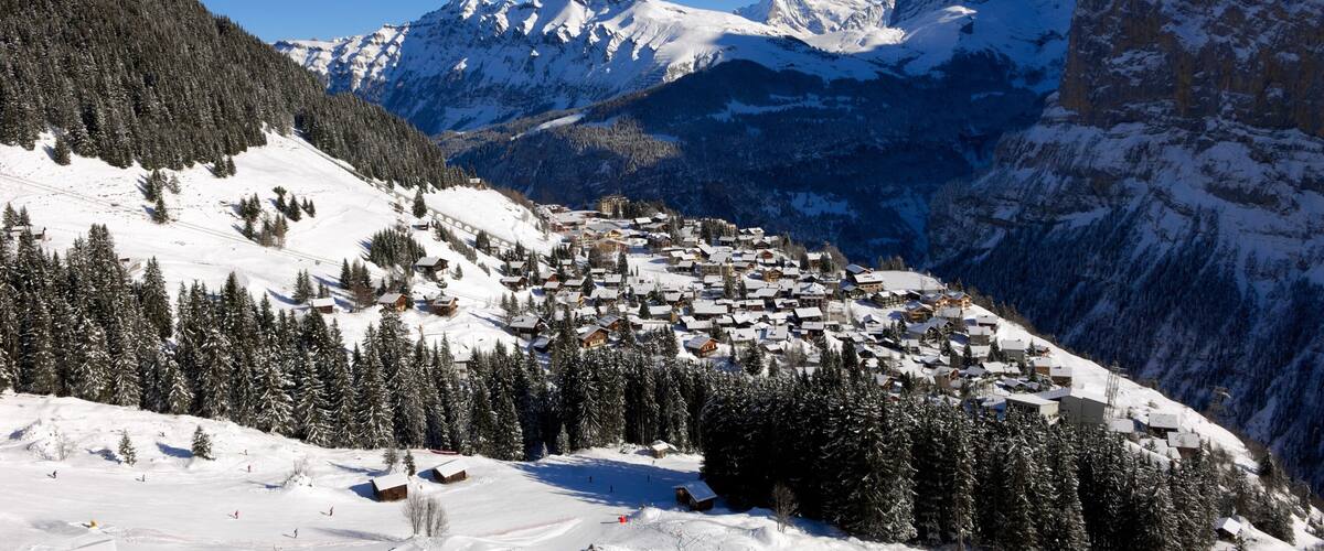A snow-covered mountain village with houses and trees.