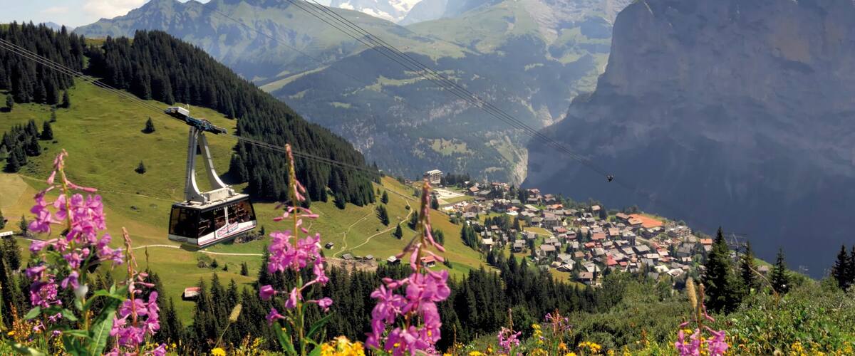 MĂŒrren mettant en vedette gondole, petite ville ou village et fleurs sauvages