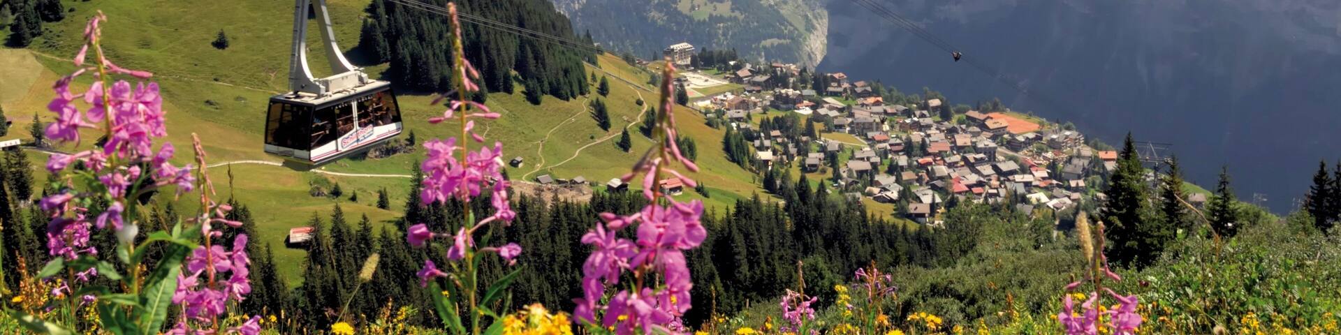 Muerren som inkluderar en gondola, blommor och en liten stad eller by