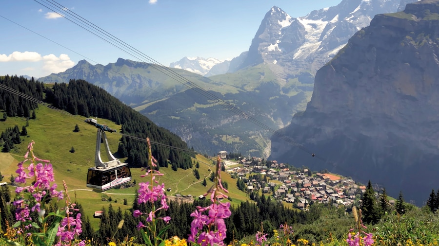 Muerren which includes a small town or village, a gondola and wild flowers