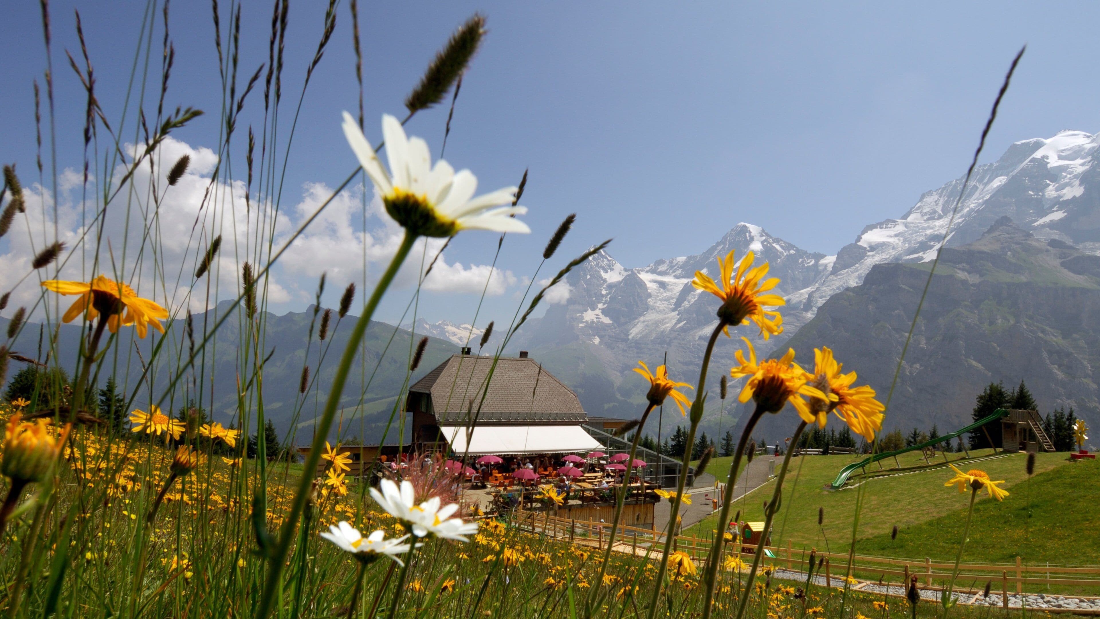 A mountain landscape with a house and a restaurant in the foreground, and snow-capped mountains in the background.