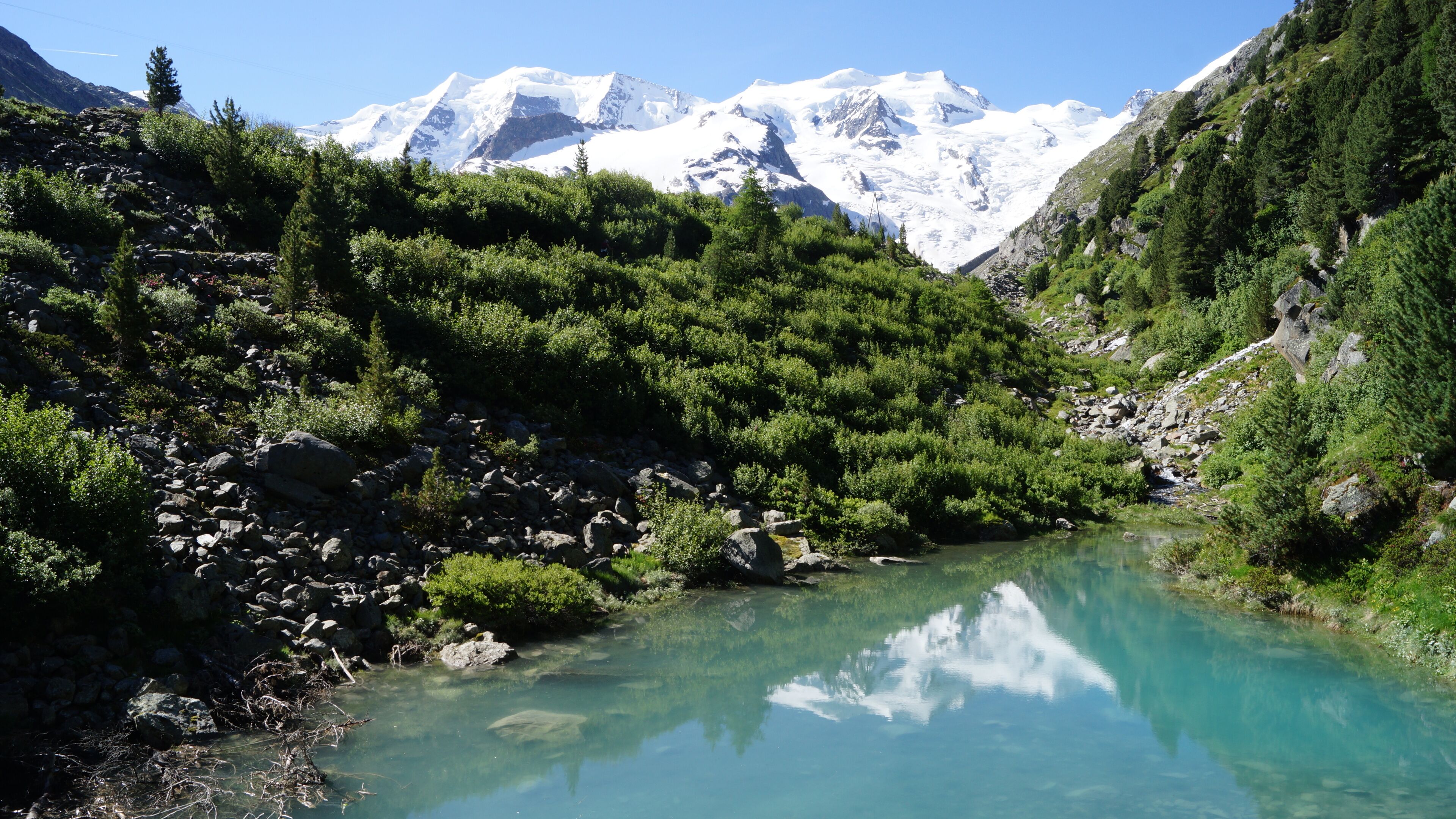 A clear mountain lake surrounded by dense forest and snow-capped peaks.