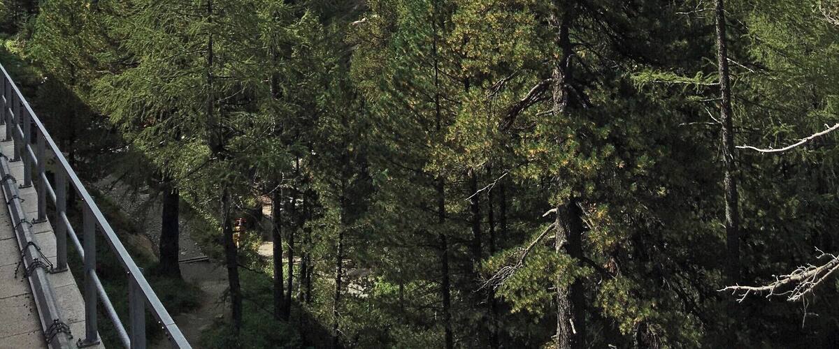 From Pontresina on the Bernina Express this is close to St Moritz on the climb up towards Lago Bianco.