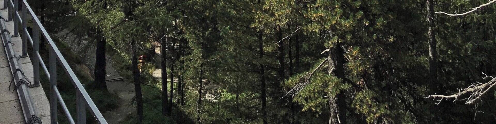 From Pontresina on the Bernina Express this is close to St Moritz on the climb up towards Lago Bianco.