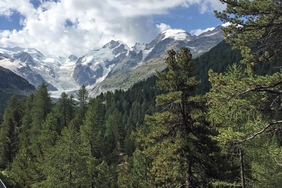 Paisatge de muntanya amb cims nevats, boscos densos i un pont.