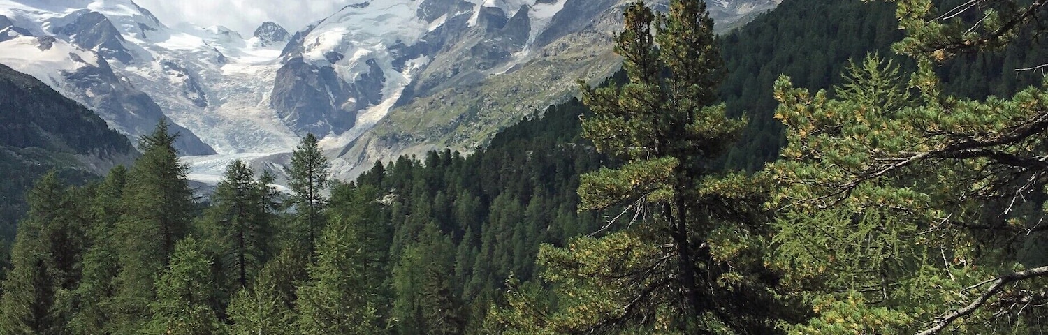 From Pontresina on the Bernina Express this is close to St Moritz on the climb up towards Lago Bianco.