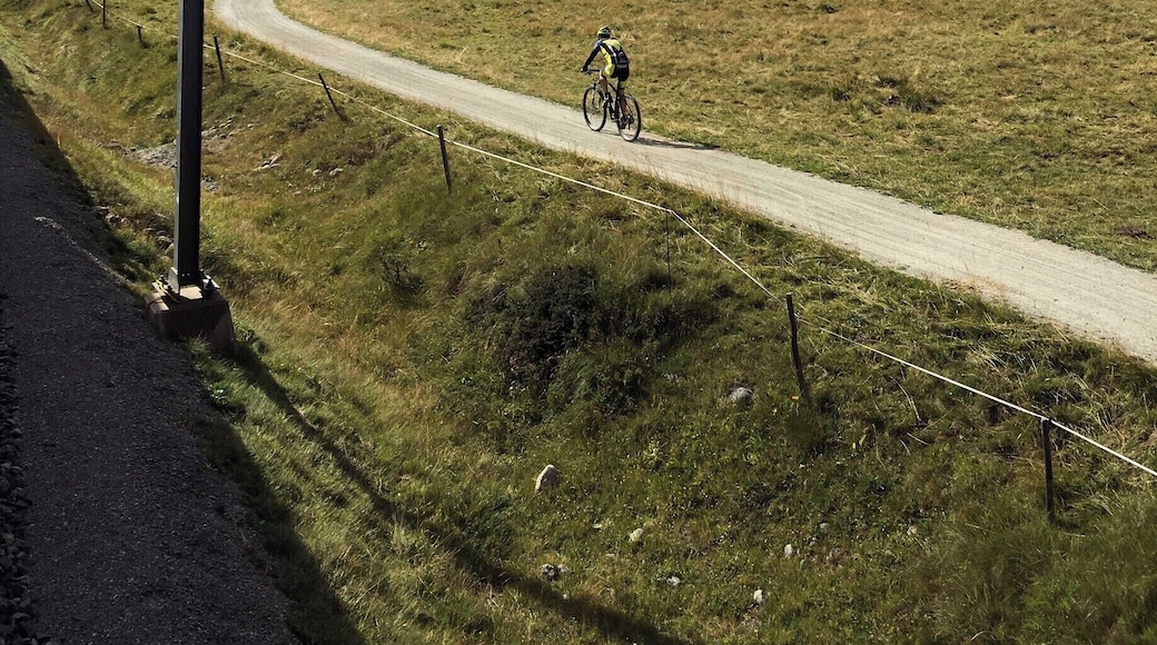 Some beautiful, quiet trails run alongside the rail tracks. Gorgeous walking or cycling country. #GreatOutdoors