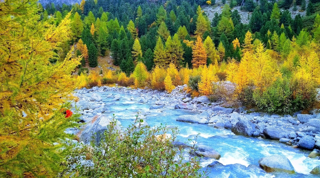 While hiking my way to Morteratsch Glacier!