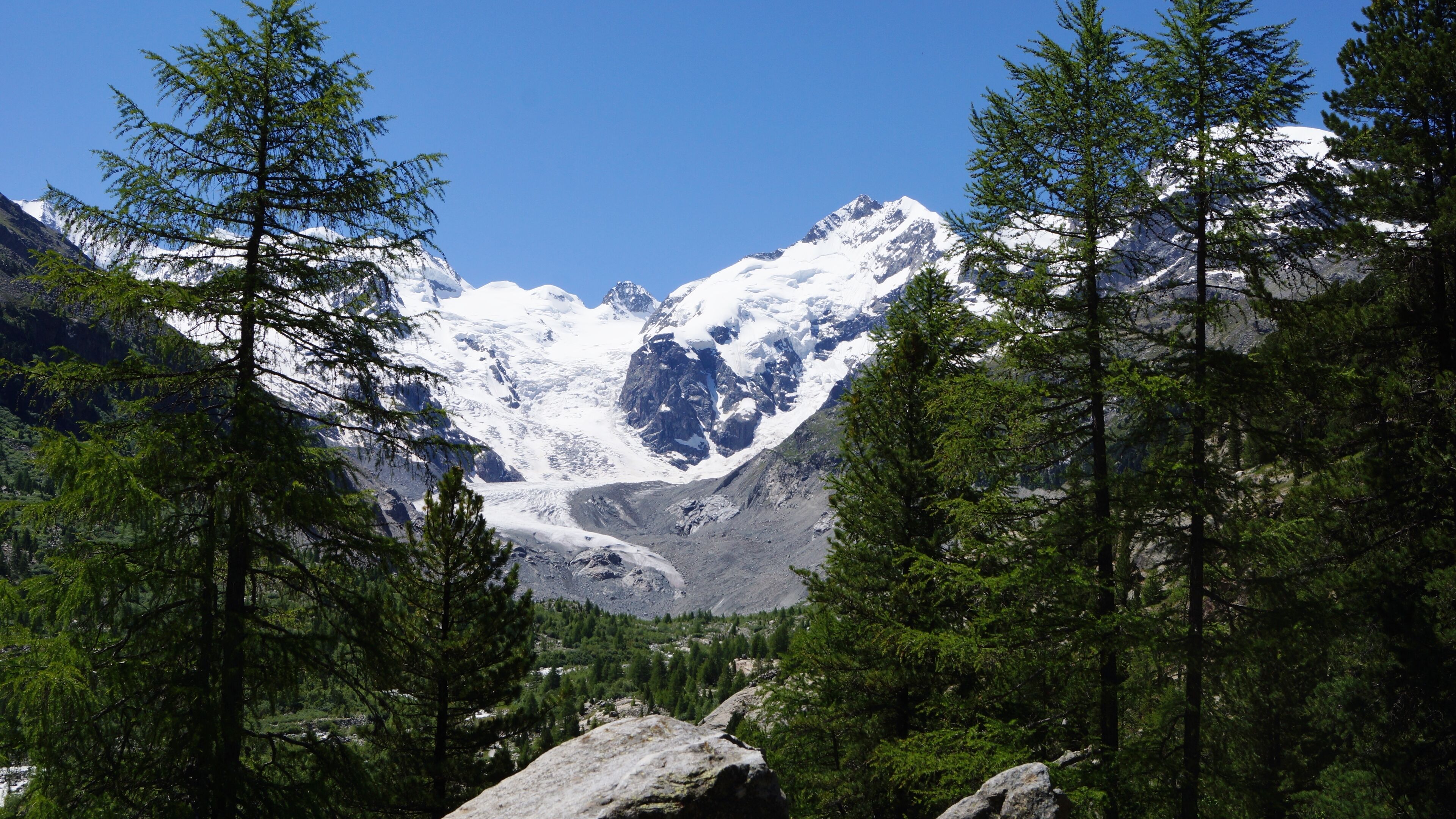 A mountain range with snow-capped peaks, dense evergreen forests, and rocky terrain.