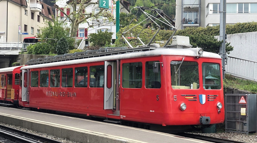 #Contest #Bahn#Riggi #train #RiggiBahnen #Vitznau #Switzerland #Suisse#Schweiz #HeavenonEarth #Culture