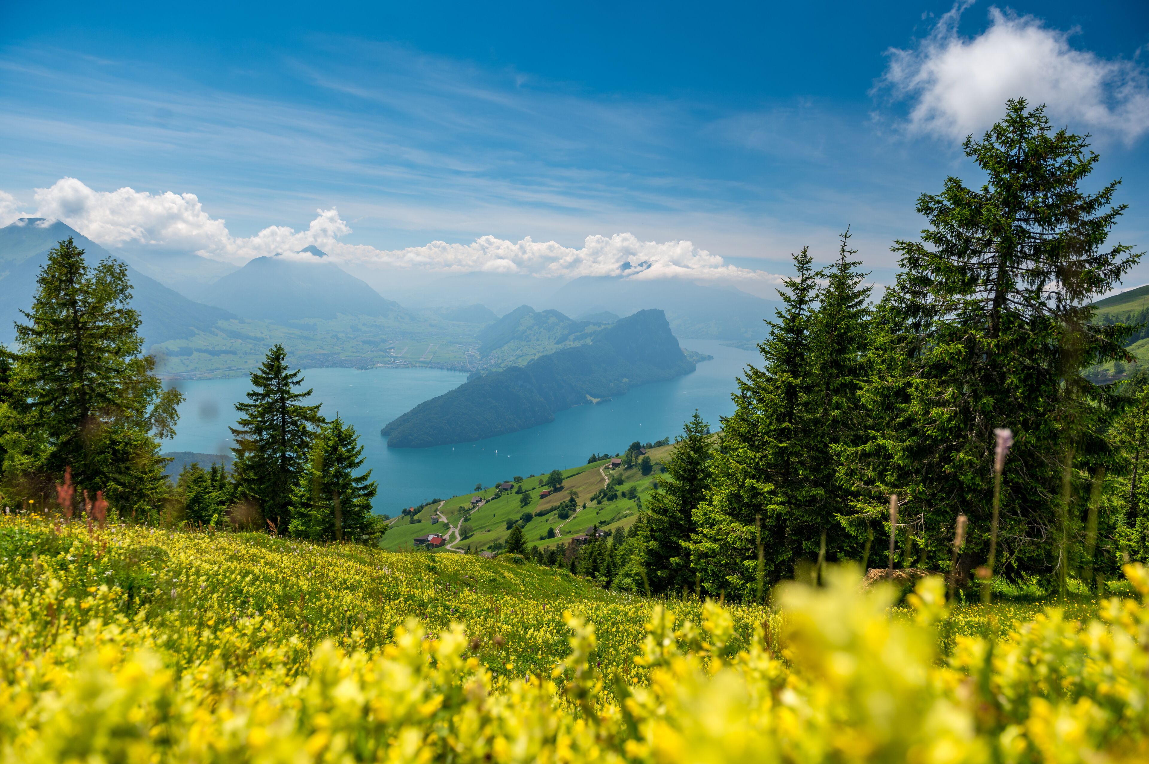 Een bergachtig landschap met een meer, dichte bossen en een helderblauwe lucht.